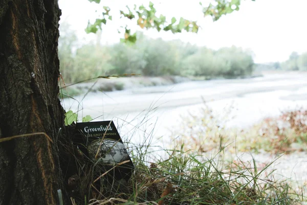 Pyatigorsk, Rusya, 01 Ekim 2020: Yeşil yaprakların ve nehrin arka planında bir paket Greenfield çayı