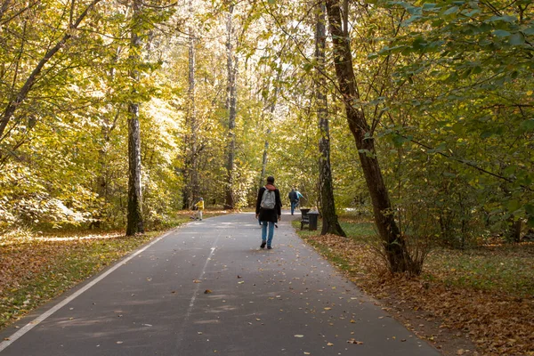 モスクワ ロシア 2020年10月6日 植物園の秋の散歩道 — ストック写真