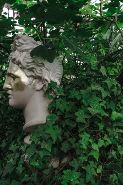 Heykelin başı yeşil sarmaşıkla örülmüş.