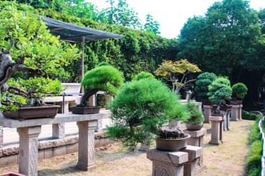 Suzhou, Çin, 06 Ağustos 2018: Suzhou 'daki mütevazı memurun bahçesindeki açık hava kaplarında kayalar ve bansai bitkilerinin kompozisyonları