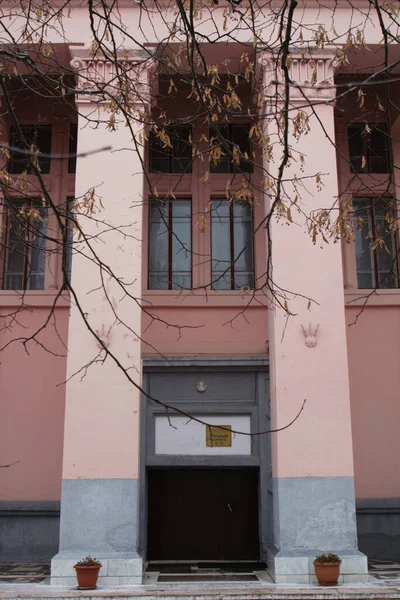 Moskova, Rusya, 19 Kasım 2020: Pembe sıva ve sütunlu tarihi bina - Timiryazev Akademisi 'nin eğitim binası. Mimarlık ayrıntıları