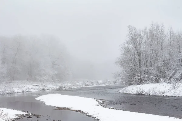 Paesaggio Invernale Alberi Innevati Lungo Fiume — Foto Stock