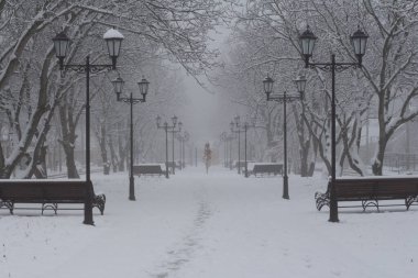 Sisin içinde fenerler ve park bankları olan karla kaplı bir sokak.
