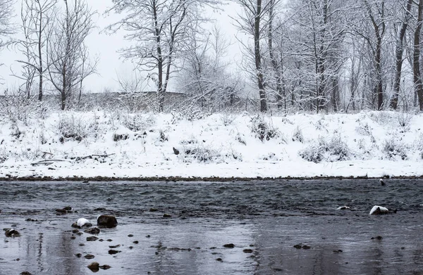 Paesaggio Invernale Alberi Innevati Lungo Fiume — Foto Stock