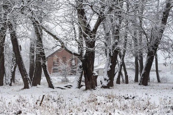 Maison Dans Forêt Enneigée Hiver — Photo