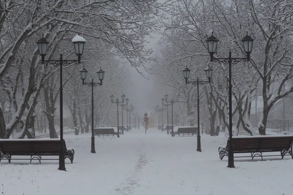 Sisin içinde fenerler ve park bankları olan karla kaplı bir sokak.