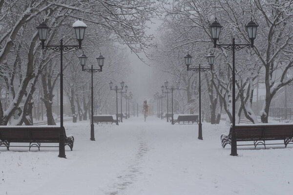 Snow-covered alley with lanterns and park benches in the fog