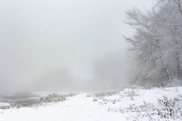 Paesaggio Invernale Alberi Innevati Nella Nebbia — Foto Stock