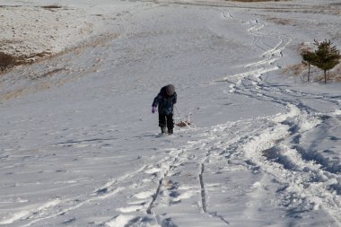 Kışın giyinmiş bir çocuk karlı bir tarlada koşar ve arkasından bir kızak çeker. 