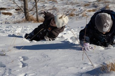 Çocuklar karda oynuyor: karda emekleyin, yakalayın ve kartopu oynayın