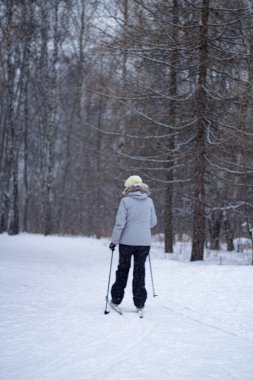 Kayakçı ormanda karlı bir yolda gidiyor. 