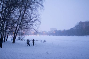 Bir grup kayakçı ağaçların arkasından gidiyor. 