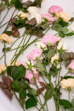 Banyoda suya batırılmış beyaz, turuncu ve pembe güller var. 