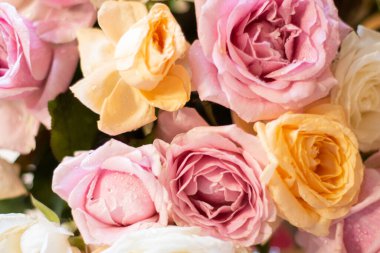 Kocaman bir buket beyaz, turuncu ve pembe gül kapanıyor. 