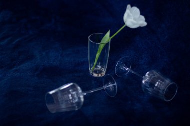 İki şarap kadehi ve mavi arka planda beyaz lale olan bir vazo. 