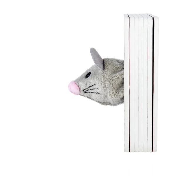 Cabeça de rato de brinquedo isolada em branco — Fotografia de Stock