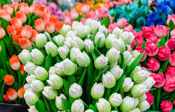 Traditional wooden colorful tulips at souvenir shop in Amsterdam — Stock Photo, Image