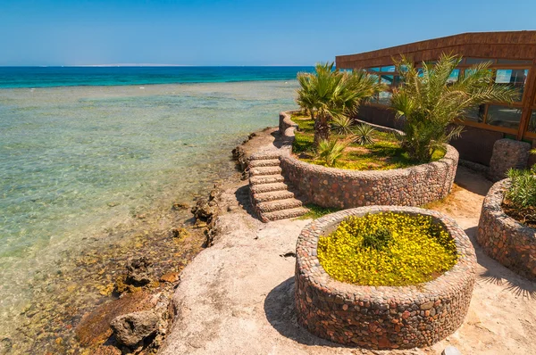 Plaj Mısır üzerinde deniz ve palmiye ağaçları ile Deniz Manzaralı — Stok fotoğraf