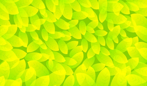 Abstract background from the leaves — Stock Vector