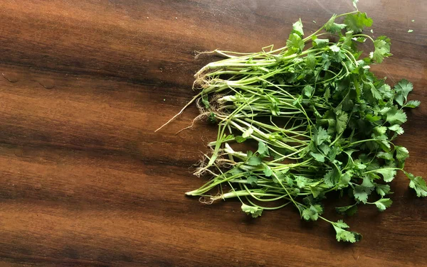 Bunch of Fresh Coriander on Wooden Table, Top View
