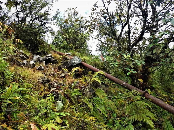 Abastecimiento Agua Para Zonas Rurales Pequeñas Comunidades Los Hogares Las —  Fotos de Stock