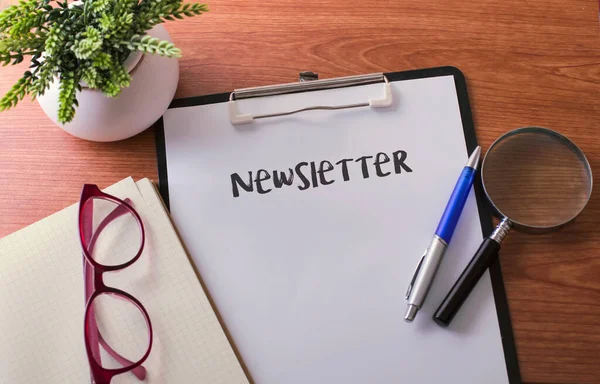 Newsletter Wort Auf Papier Mit Glaskugelschreiber Und Grüner Pflanze — Stockfoto