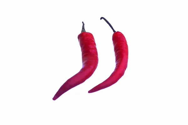 Red Chili Chilli Cayenne Pepper Isolated White Background — Stock Photo, Image