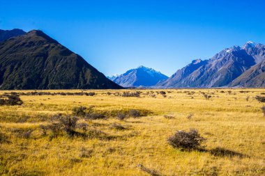 Tazman Dağı Vadisi, Aoraki Dağı Ulusal Parkı Güney Alpleri Dağı Yeni Zelanda.