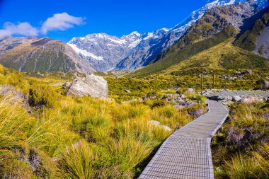Tazman Dağı Vadisi, Aoraki Dağı Ulusal Parkı Güney Alpleri Dağı Yeni Zelanda.