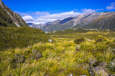 Tazman Dağı Vadisi, Aoraki Dağı Ulusal Parkı Güney Alpleri Dağı Yeni Zelanda
