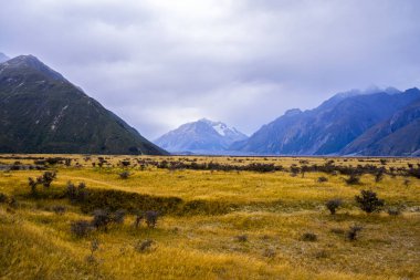 Tazman Dağı Vadisi, Aoraki Dağı Ulusal Parkı Güney Alpleri Dağı Yeni Zelanda
