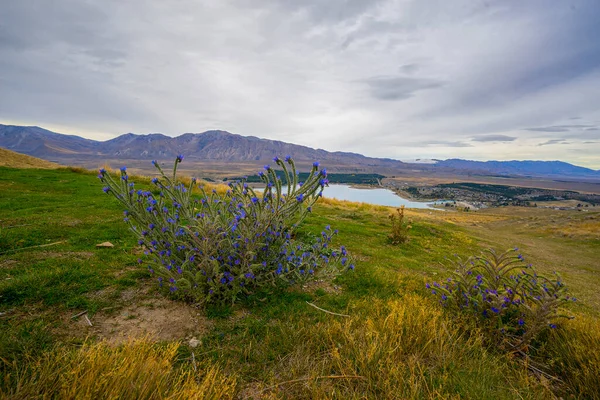 Bulutlu bir günde Yeni Zelanda manzarası