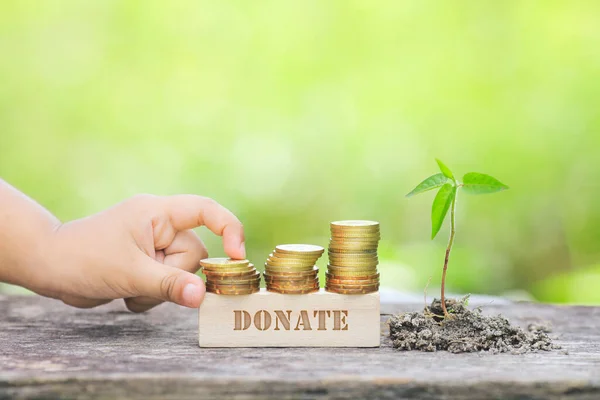 Donate Word Goldene Münze Mit Holzstange Gestapelt — Stockfoto