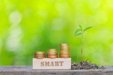 SMART Kelime Altın Para DOF yeşil arka planda ahşap çubuk ile istiflenmiş