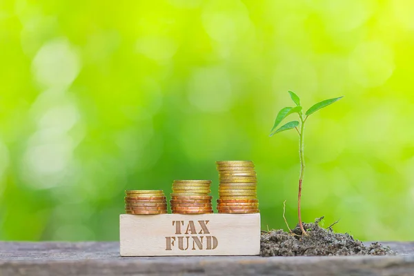 Vergi FUND Kelime Altın Bozukluğu Sığ DOF yeşil arka plan üzerine ahşap çubukla istiflenmiş