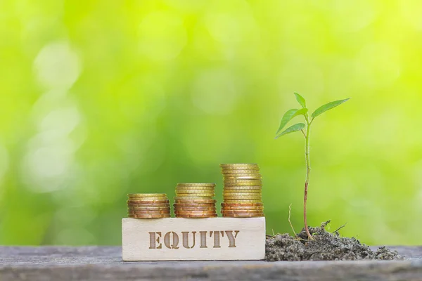 Equity Word Zlatá Mince Dřevěnou Tyčí Mělkém Dof Zeleném Pozadí — Stock fotografie