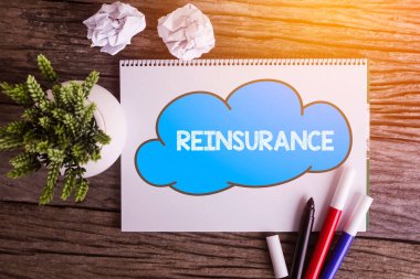 Notepad ve ahşap arka planda yeşil bitki ile REINSURANCE kelime