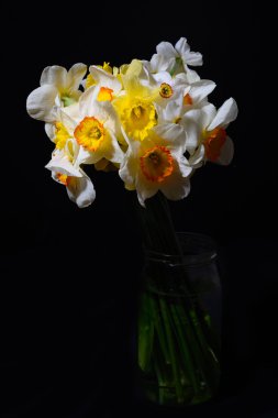 D üzerinde bir Vazoda beyaz ve sarı nergis buket, yakın çekim