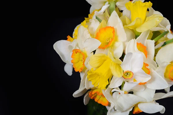 Foto de cerca del ramo de narcisos blancos y amarillos colocado o —  Fotos de Stock