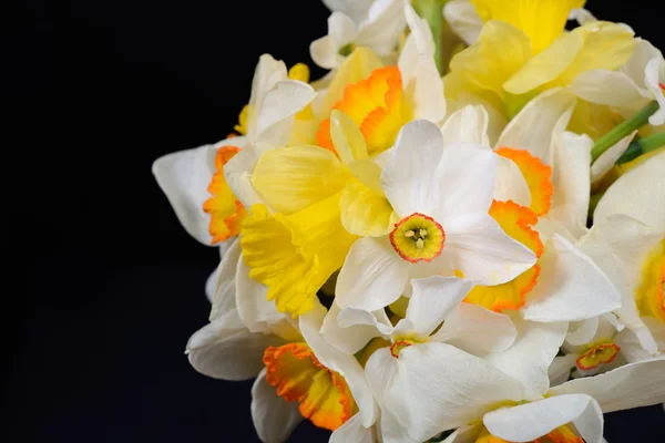 Close up photo of bouquet of white and yellow daffodils placed o — Stock Photo, Image