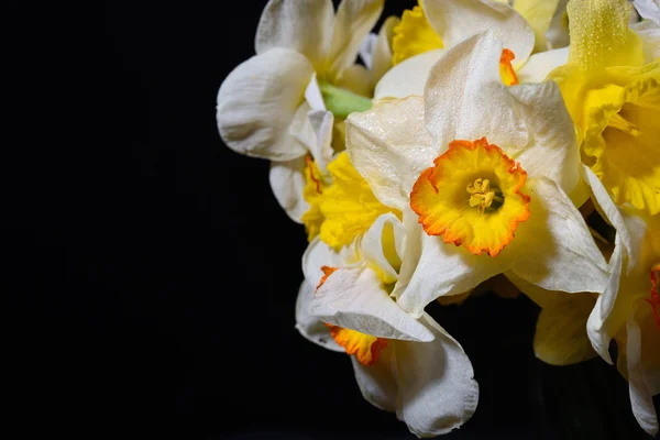 O を置かれた白と黄色の水仙の花束の写真をクローズ アップ — ストック写真