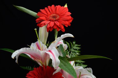 Kırmızı gerbera ve beyaz l yapılmış bir parça buketi, yakın çekim