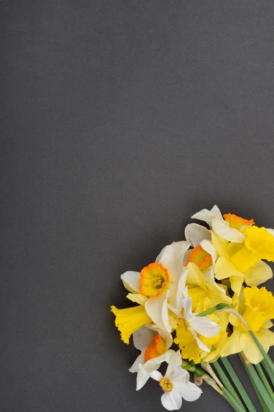 Όμορφες floral γωνία με λευκό και κίτρινο daffodils λουλούδια Royalty Free Εικόνες Αρχείου