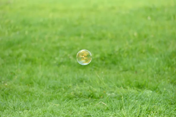 Flying soap bubbles against the grass background with relection — Stock Photo, Image