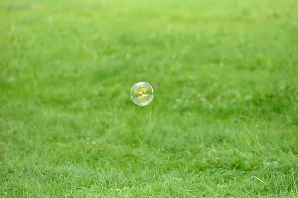 Flying soap bubbles against the grass background with relection — Stock Photo, Image