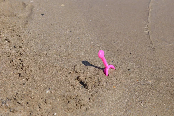 Small pink shovel in the wet sand on the beach in a summer sunny — Stock Photo, Image