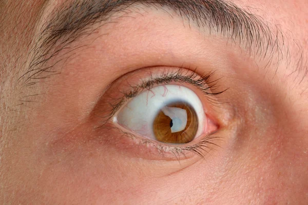 Крупним планом картина коричневого людського ока. Молодий чоловік з довгими віями — стокове фото