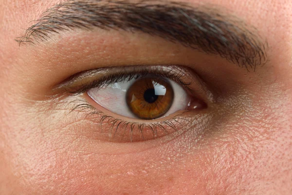 Foto ravvicinata di occhio umano marrone. Giovane con ciglia lunghe — Foto Stock