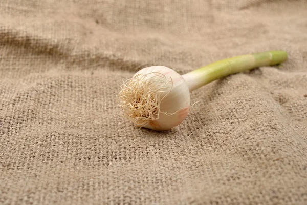 Grüner Knoblauch mit Nelken auf Jutegrund. Rustikales Bild. Kopie — Stockfoto