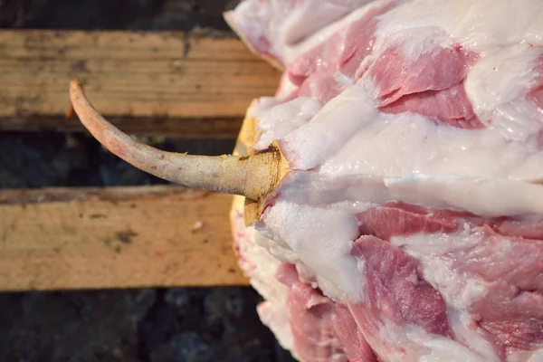 Closeup of pig tail. Traditional slaughtered pig